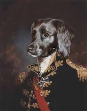 Personalized Masterpiece Major General from Photo