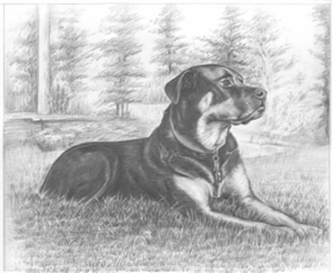 Hand Drawn Pencil Portraits from Photos | Pencil Portrait Drawing | Pencil Sketch Artists