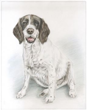 Hand Drawn Colored Pencil Portraits from Photos | Colored Pencil Drawings from Photos