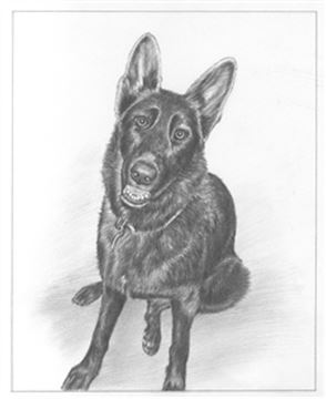 Hand Drawn Pencil Portraits from Photos | Pencil Portrait Drawing | Pencil Sketch Artists