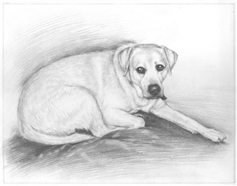 Hand Drawn Pencil Portraits from Photos | Pencil Portrait Drawing | Pencil Sketch Artists