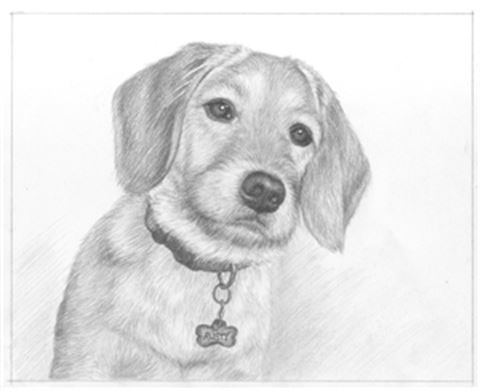 Hand Drawn Pencil Portraits from Photos | Pencil Portrait Drawing | Pencil Sketch Artists