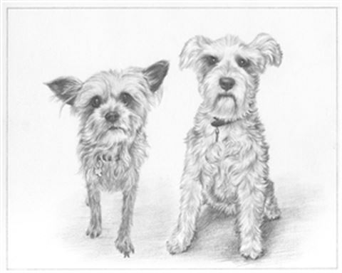 Hand Drawn Pencil Portraits from Photos | Pencil Portrait Drawing | Pencil Sketch Artists