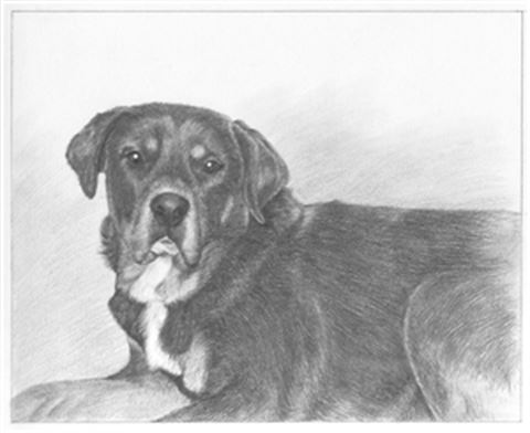 Hand Drawn Pencil Portraits from Photos | Pencil Portrait Drawing | Pencil Sketch Artists