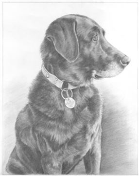 Hand Drawn Pencil Portraits from Photos | Pencil Portrait Drawing | Pencil Sketch Artists