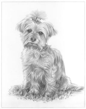 Hand Drawn Pencil Portraits from Photos | Pencil Portrait Drawing | Pencil Sketch Artists