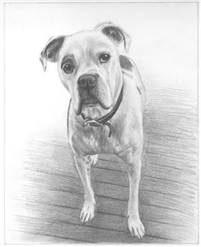 Hand Drawn Pencil Portraits from Photos | Pencil Portrait Drawing | Pencil Sketch Artists