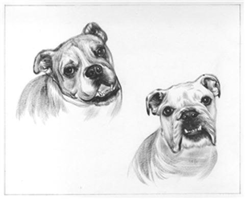 Hand Painted Ink Rendering Portraits from Photos
