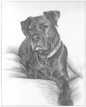 Hand Drawn Pencil Portraits from Photos | Pencil Portrait Drawing | Pencil Sketch Artists