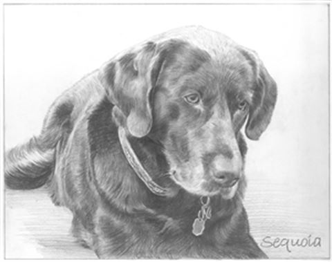 Hand Drawn Pencil Portraits from Photos | Pencil Portrait Drawing | Pencil Sketch Artists