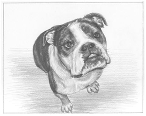 Hand Drawn Pencil Portraits from Photos | Pencil Portrait Drawing | Pencil Sketch Artists