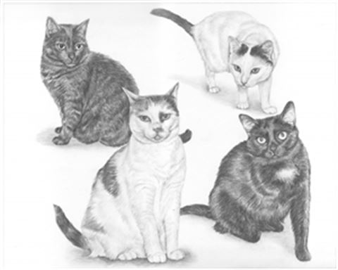 Hand Drawn Pencil Portraits from Photos | Pencil Portrait Drawing | Pencil Sketch Artists