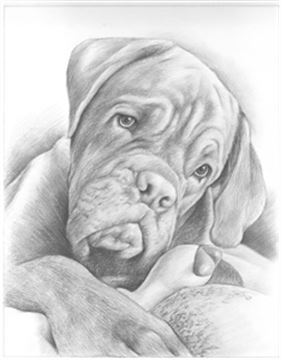 Hand Drawn Pencil Portraits from Photos | Pencil Portrait Drawing | Pencil Sketch Artists