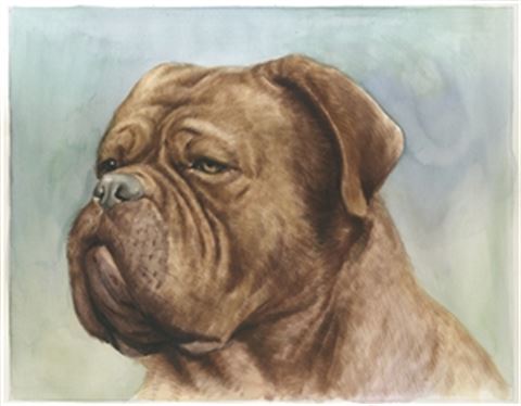 Hand-Painted Watercolor Portraits from Photos | Custom Watercolor Painting from Photo