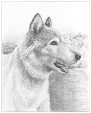 Hand Drawn Pencil Portraits from Photos | Pencil Portrait Drawing | Pencil Sketch Artists