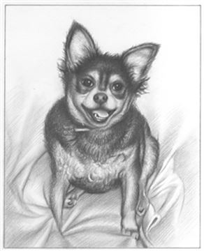 Hand Drawn Pencil Portraits from Photos | Pencil Portrait Drawing | Pencil Sketch Artists