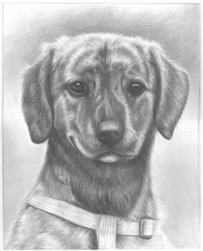 Hand Drawn Pencil Portraits from Photos | Pencil Portrait Drawing | Pencil Sketch Artists