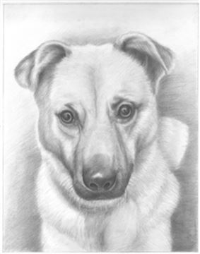 Hand Drawn Pencil Portraits from Photos | Pencil Portrait Drawing | Pencil Sketch Artists