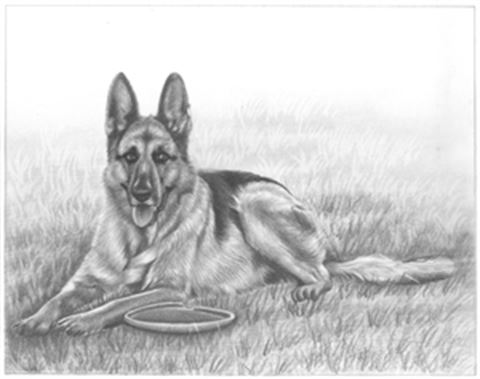 Hand Drawn Pencil Portraits from Photos | Pencil Portrait Drawing | Pencil Sketch Artists