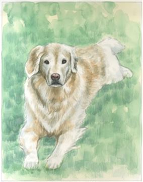 Hand-Painted Watercolor Portraits from Photos | Custom Watercolor Painting from Photo