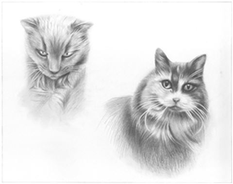 Hand Drawn Pencil Portraits from Photos | Pencil Portrait Drawing | Pencil Sketch Artists
