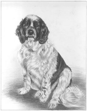 Hand Drawn Pencil Portraits from Photos | Pencil Portrait Drawing | Pencil Sketch Artists