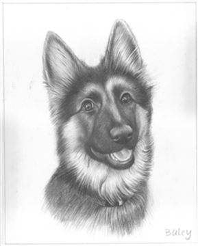 Hand Drawn Pencil Portraits from Photos | Pencil Portrait Drawing | Pencil Sketch Artists