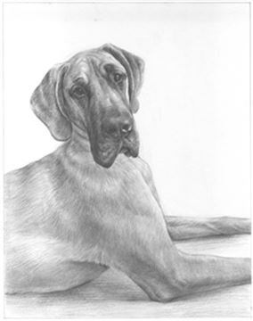 Hand Drawn Pencil Portraits from Photos | Pencil Portrait Drawing | Pencil Sketch Artists