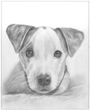 Hand Drawn Pencil Portraits from Photos | Pencil Portrait Drawing | Pencil Sketch Artists