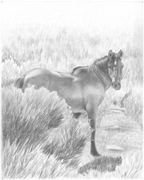 Hand Drawn Pencil Portraits from Photos | Pencil Portrait Drawing | Pencil Sketch Artists