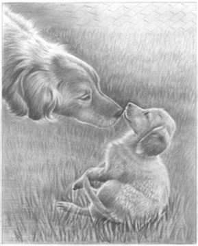 Hand Drawn Pencil Portraits from Photos | Pencil Portrait Drawing | Pencil Sketch Artists
