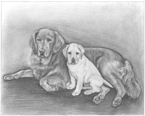 Hand Drawn Pencil Portraits from Photos | Pencil Portrait Drawing | Pencil Sketch Artists