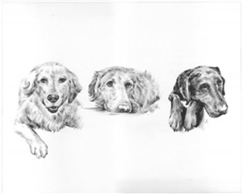 Hand Painted Ink Rendering Portraits from Photos