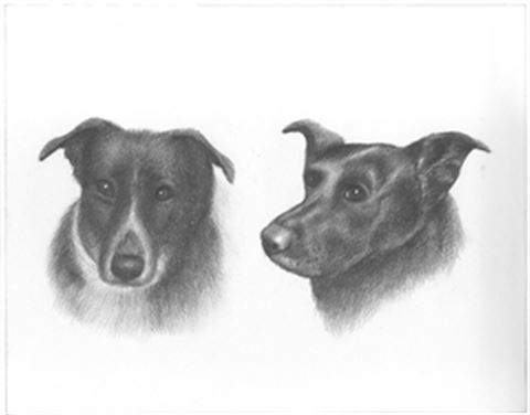 Hand Drawn Pencil Portraits from Photos | Pencil Portrait Drawing | Pencil Sketch Artists