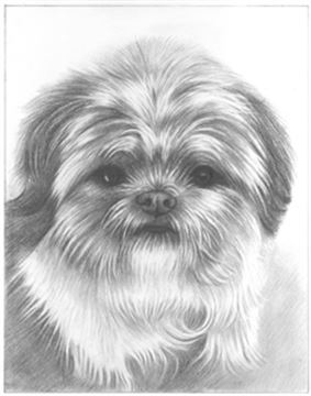 Hand Drawn Pencil Portraits from Photos | Pencil Portrait Drawing | Pencil Sketch Artists