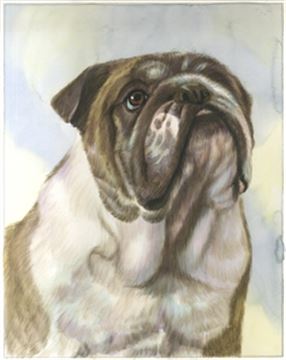 Hand-Painted Watercolor Portraits from Photos | Custom Watercolor Painting from Photo