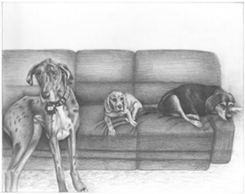 Hand Drawn Pencil Portraits from Photos | Pencil Portrait Drawing | Pencil Sketch Artists