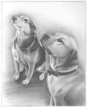 Hand Drawn Pencil Portraits from Photos | Pencil Portrait Drawing | Pencil Sketch Artists