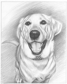 Hand Drawn Pencil Portraits from Photos | Pencil Portrait Drawing | Pencil Sketch Artists