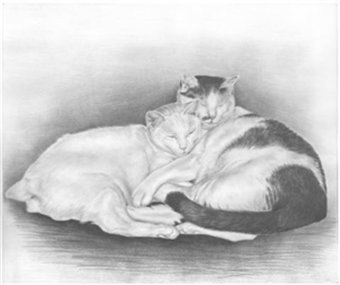 Hand Drawn Pencil Portraits from Photos | Pencil Portrait Drawing | Pencil Sketch Artists