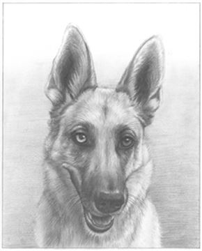 Hand Drawn Pencil Portraits from Photos | Pencil Portrait Drawing | Pencil Sketch Artists