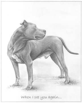 Hand Drawn Pencil Portraits from Photos | Pencil Portrait Drawing | Pencil Sketch Artists