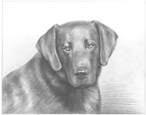 Hand Drawn Pencil Portraits from Photos | Pencil Portrait Drawing | Pencil Sketch Artists