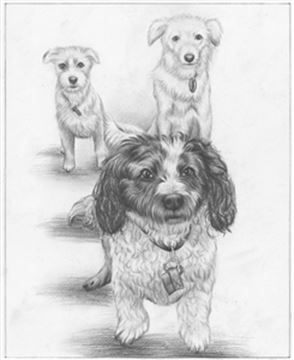 Hand Drawn Pencil Portraits from Photos | Pencil Portrait Drawing | Pencil Sketch Artists