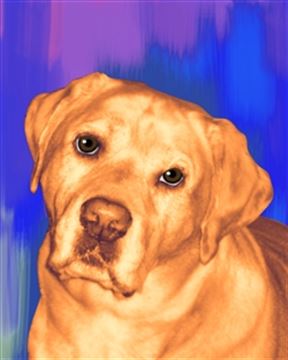 1 Panel Pop Art Portraits from Photos