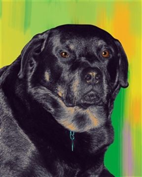 1 Panel Pop Art Portraits from Photos