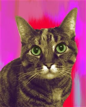 1 Panel Pop Art Portraits from Photos