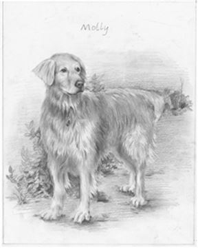 Hand Drawn Pencil Portraits from Photos | Pencil Portrait Drawing | Pencil Sketch Artists