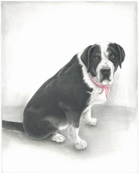 Hand Drawn Pencil Portraits from Photos | Pencil Portrait Drawing | Pencil Sketch Artists