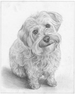 Hand Drawn Pencil Portraits from Photos | Pencil Portrait Drawing | Pencil Sketch Artists